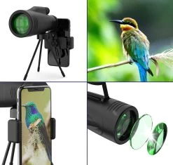 Jumelles Monoculaires Avec Trépied Jusqu'à 12x Zoom - Télescope Monoculaire Bird Viewer Avec Dragonne Et Prisma BAK4 - Longue-vue - 12x55 - Incl. Support De Téléphone -Magasin D'Équipement De Plein Air 1200x1142