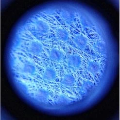 TR Goods - Mini Microscope - Microscope De Poche - Microscope De Poche - Microscope - Loupe - Lentille De Loupe - Lumière UV - Détection De Contrefaçon -- Zoom 60x -Magasin D'Équipement De Plein Air 1200x1192 3