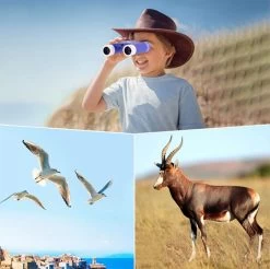 Frienden Jumelles Pour Enfants - Jumelles Jouets - Jumelles Enfants 8 Ans - Jumelles Junior - Jumelles Compactes - 10x25 - Blauw -Magasin D'Équipement De Plein Air 1200x1196 5