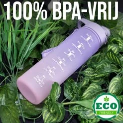 Gourde Motivationnelle - Gourde 1 Litre - Étanche - Gourde Avec Marquage De L'heure - Bec Verseur Pratique - Idéal Pour Un Usage Quotidien - Violet/Rose -Magasin D'Équipement De Plein Air 1200x1200 1029