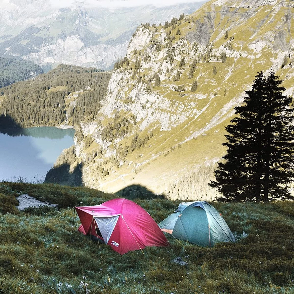 20 X Piquets De Tente, Piquets Stables Robustes Avec Support De Câble Et De Corde, Piquets De Sol En Pierre Pour Le Camping, Boîte Avec Crochets De Tente Pour Sols Durs Et Bois 9 20 X Piquets De Tente, Piquets Stables Robustes Avec Support De Câble Et De Corde, Piquets De Sol En Pierre Pour Le Camping, Boîte Avec Crochets De Tente Pour Sols Durs Et Bois – Image 7