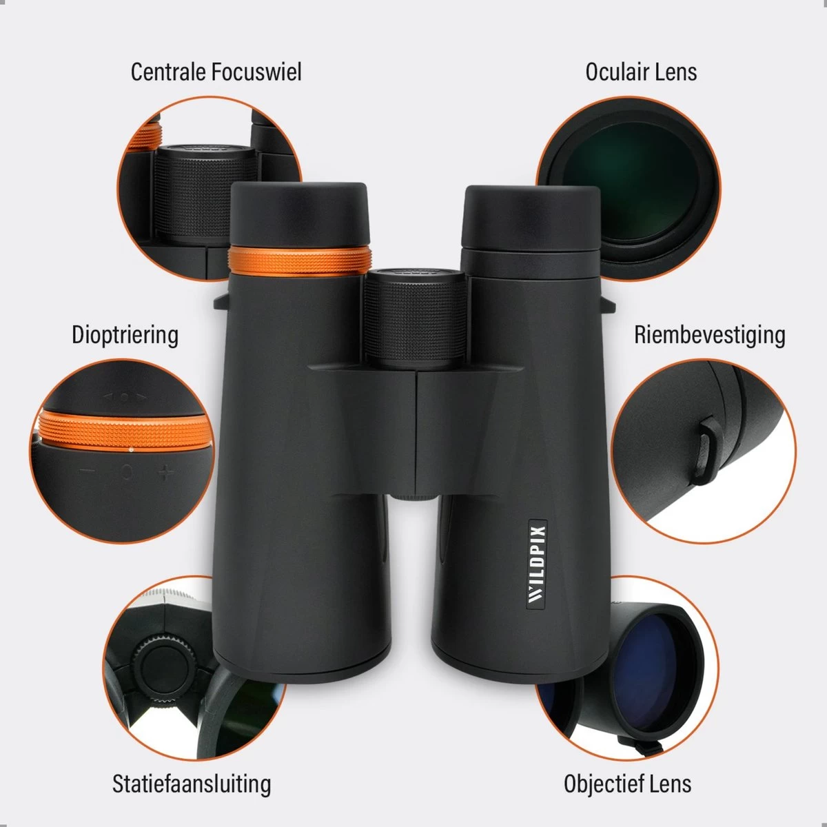 Série Wildpix ED étanche Et Remplie De Gaz - Jumelles En Magnésium 12X56 Pour Adultes - BAK4 Avec Revêtement FMC Et Phase Et Verre ED - Pour L'observation Des Oiseaux, La Faune Et Plein Air 6 Série Wildpix ED étanche Et Remplie De Gaz - Jumelles En Magnésium 12X56 Pour Adultes - BAK4 Avec Revêtement FMC Et Phase Et Verre ED - Pour L'observation Des Oiseaux, La Faune Et Plein Air – Image 4