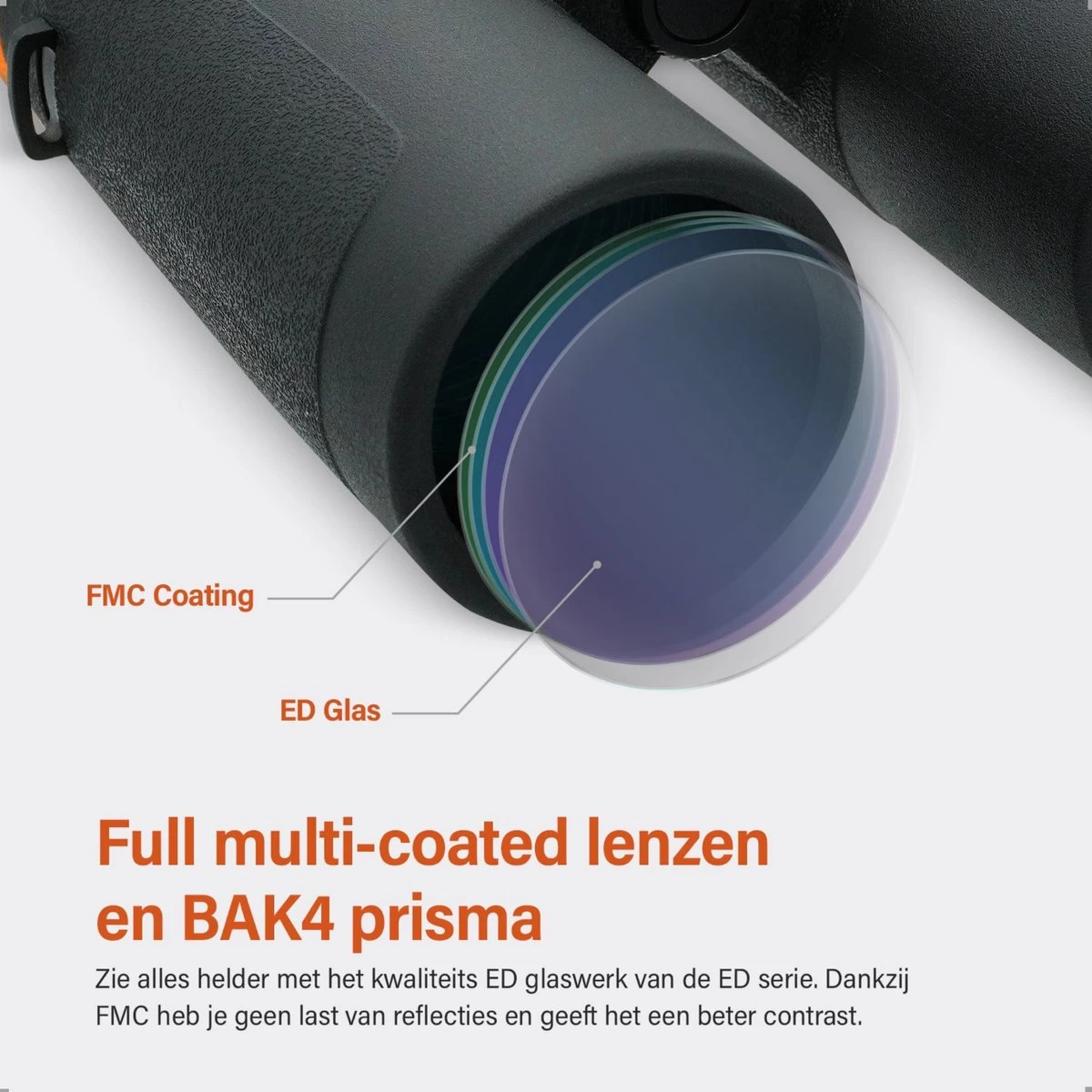 Série Wildpix ED étanche Et Remplie De Gaz - Jumelles En Magnésium 12X56 Pour Adultes - BAK4 Avec Revêtement FMC Et Phase Et Verre ED - Pour L'observation Des Oiseaux, La Faune Et Plein Air 11 Série Wildpix ED étanche Et Remplie De Gaz - Jumelles En Magnésium 12X56 Pour Adultes - BAK4 Avec Revêtement FMC Et Phase Et Verre ED - Pour L'observation Des Oiseaux, La Faune Et Plein Air – Image 9