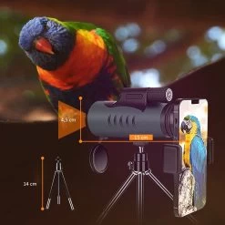 Télescope Monoculaire Pour Téléphone Portable 12x50 - Prisme En Toit BAK4 - Lens Entièrement Multicouche - Télescope Monoculaire Pour L'observation Des Oiseaux Jumelles Monoculaires étanches IPX8 12 Télescope Monoculaire Pour Téléphone Portable 12x50 - Prisme En Toit BAK4 - Lens Entièrement Multicouche - Télescope Monoculaire Pour L'observation Des Oiseaux Jumelles Monoculaires étanches IPX8 -Magasin D'Équipement De Plein Air 1200x1200 195