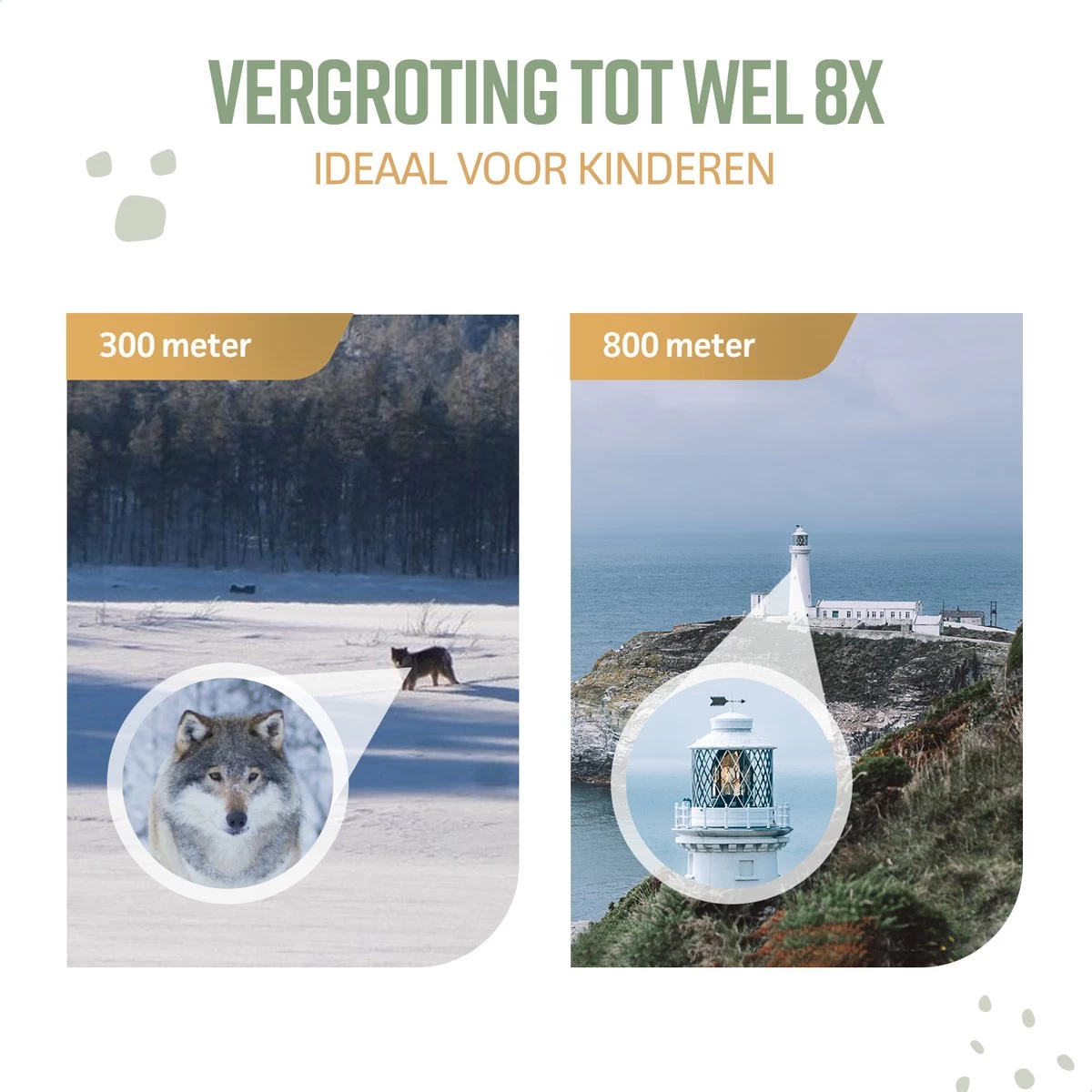 Jumelles Pour Les Enfants - Oiseaux Jumelles Regarder - Jumelles Kinder - Rick - Vert - 8x21 - Haute Qualité - Accessoires - Jumelles Comprend - Loupe 10 Jumelles Pour Les Enfants - Oiseaux Jumelles Regarder - Jumelles Kinder - Rick - Vert - 8x21 - Haute Qualité - Accessoires - Jumelles Comprend - Loupe – Image 8