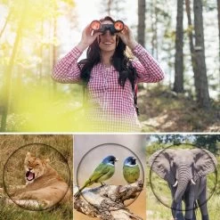 Jumelles Hewolf® 80x80 - Entièrement Multi - 15000M HD - Résistant Aux éclaboussures - Avec Bouchons D' Bouchons D'objectif, Sac De Transport Et Sangle De Cou - Zwart -Magasin D'Équipement De Plein Air 1200x1200 622