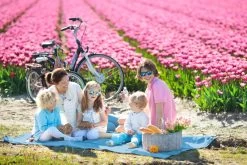 Pique-nique Couverture De Pique-nique Imperméable - Blauw - Couverture De Pique-nique GoldBaby - GoldBaby De Pique-nique Extérieur 150 X 135cm 15 Pique-nique Couverture De Pique-nique Imperméable - Blauw - Couverture De Pique-nique GoldBaby - GoldBaby De Pique-nique Extérieur 150 X 135cm -Magasin D'Équipement De Plein Air 1200x800 40