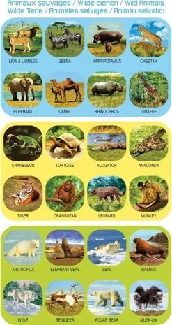 GEOKIDS: PROJECTION FLASHLIGHT / WILD ANIMALS Diam.3xL12cm, Avec 3 Disques Interchangeables, 8 Photos Par Disque, 3 Piles AG13 Incluses, Sous Blister, 3+ 13 GEOKIDS: PROJECTION FLASHLIGHT / WILD ANIMALS Diam.3xL12cm, Avec 3 Disques Interchangeables, 8 Photos Par Disque, 3 Piles AG13 Incluses, Sous Blister, 3+ -Magasin D'Équipement De Plein Air 637x1200